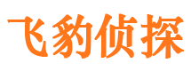 泸溪市侦探公司